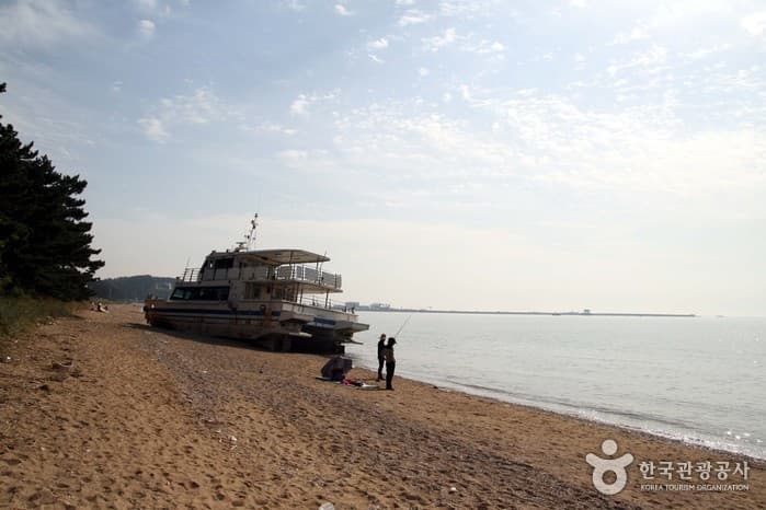 화성-바다의숨결-궁평사구-낚시꾼모습-정은주