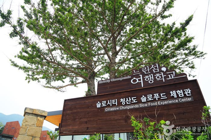 전남_완도_청산도 2