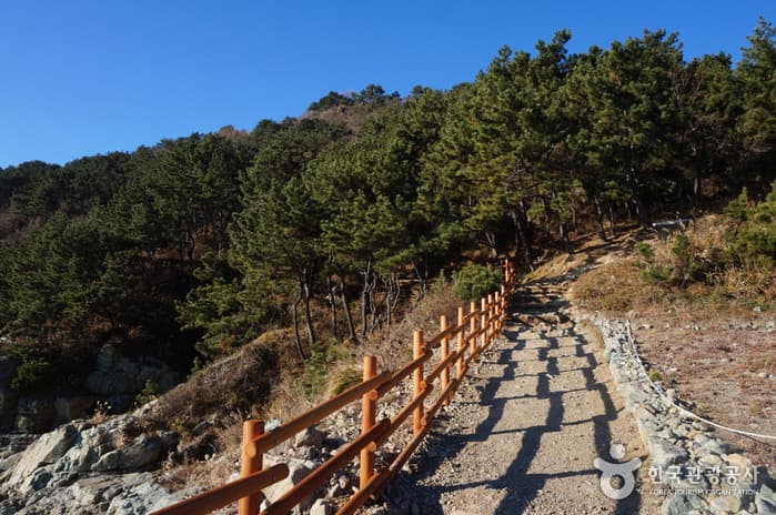 부산_이기대 25