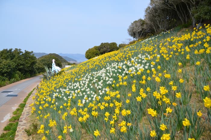 장사도해상공원_(11)