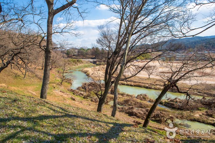 경주 월성(반월성)
