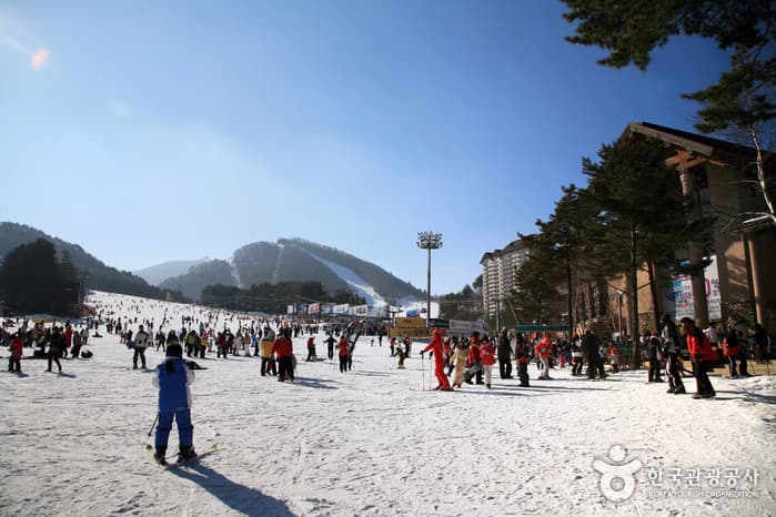 용평리조트_슬로프08