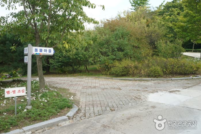 세종특별자치시_금강자연휴양림05