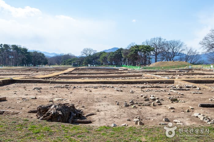 경주 월성(반월성)