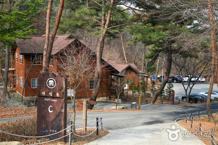 국립 용화산자연휴양림 2021 촬영 2