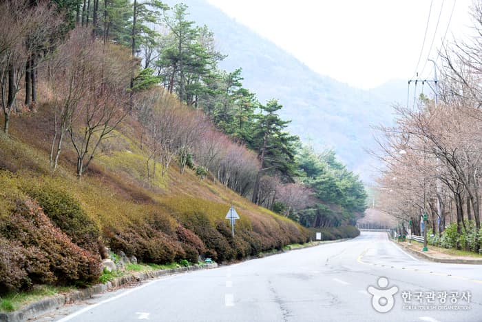 무등산국립공원_03