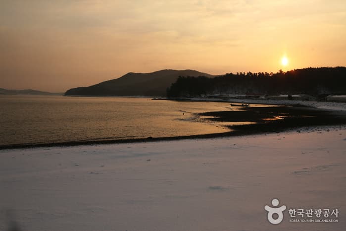 Cheonsuman Bay - Migratory Bird Sanctuary (천수만(철새도래지))