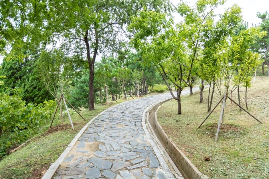 추암조각공원_6