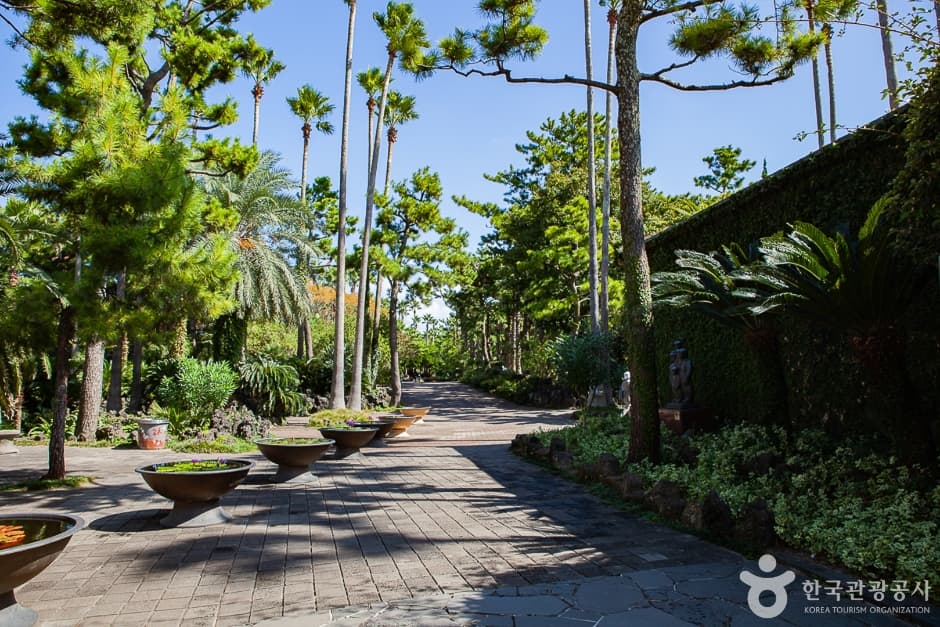 협재굴(한림공원) (6)