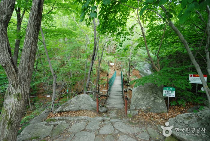 운문산자연휴양림_10