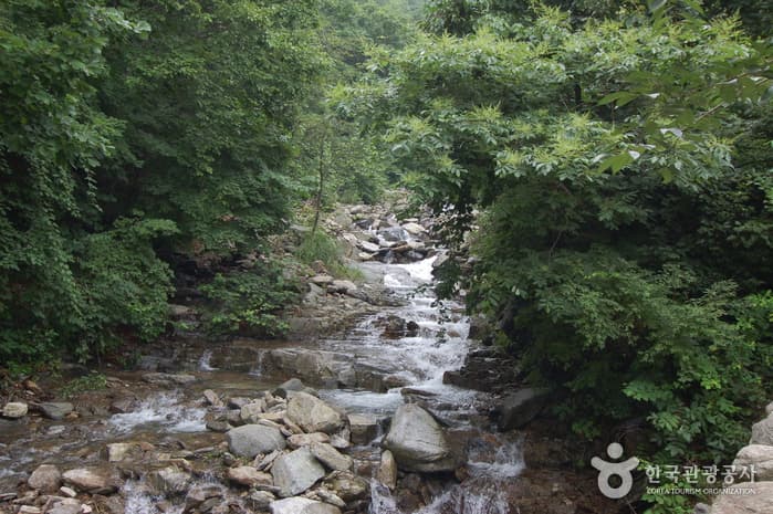 가리산자연휴양림_04