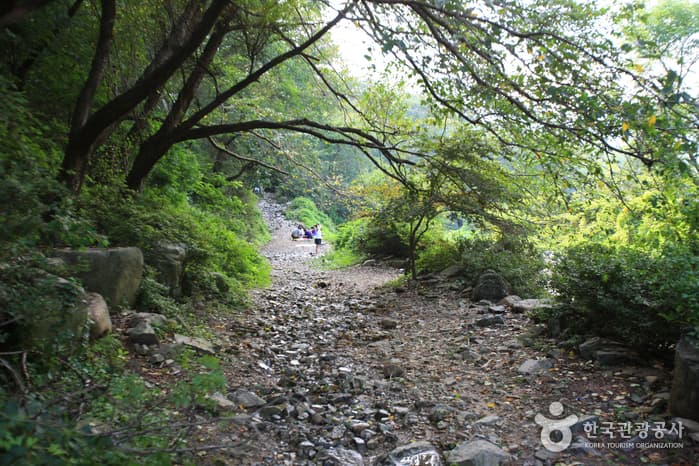 달천계곡_07