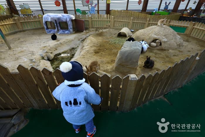 생태관광기사형DB_경남_창녕_수억만년의 비밀을 간직한 자연습지에 가다, 창녕 우포늪15