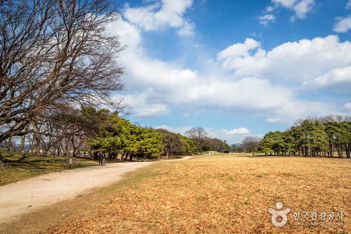 경주 월성(반월성)