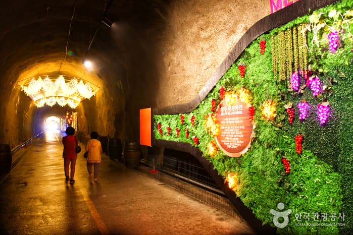 전북_무주_술이 익어가는 서늘한 동굴, 무주머루와인동굴_01