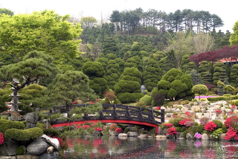 베어트리파크_1