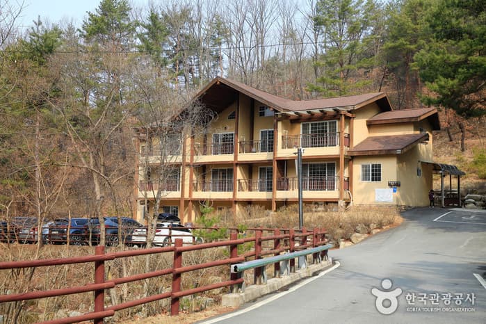 국립 용화산자연휴양림 2021 촬영 3