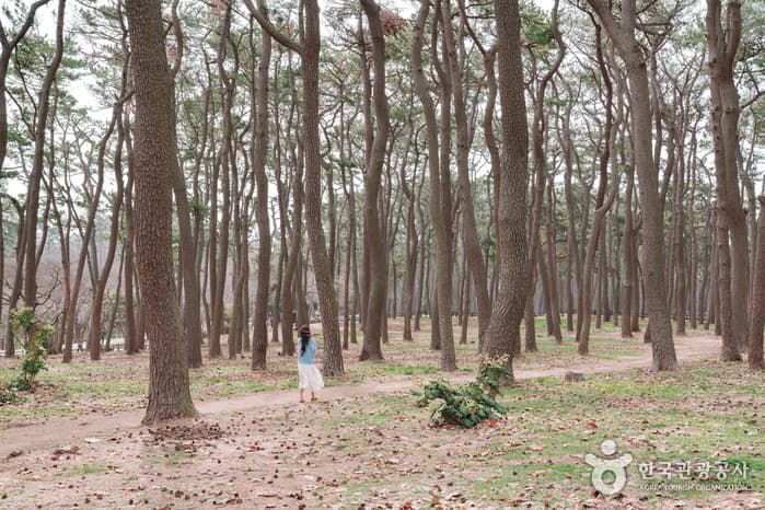 전국_냥 집사 전격 소환! 이색 고양이 여행지, 나만 없어! 야옹이! 지친 마음 위로 받는 길냥이와의 하루 12