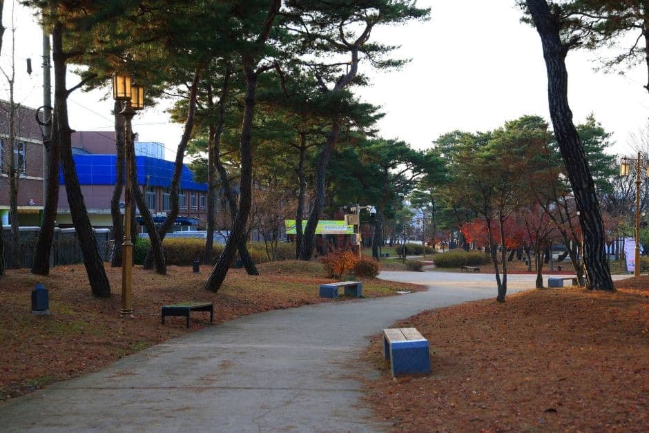 부여_정림사지와 사비길 (6)