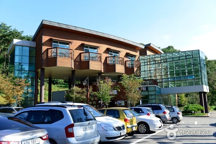 경기_용인_용인자연휴양림03