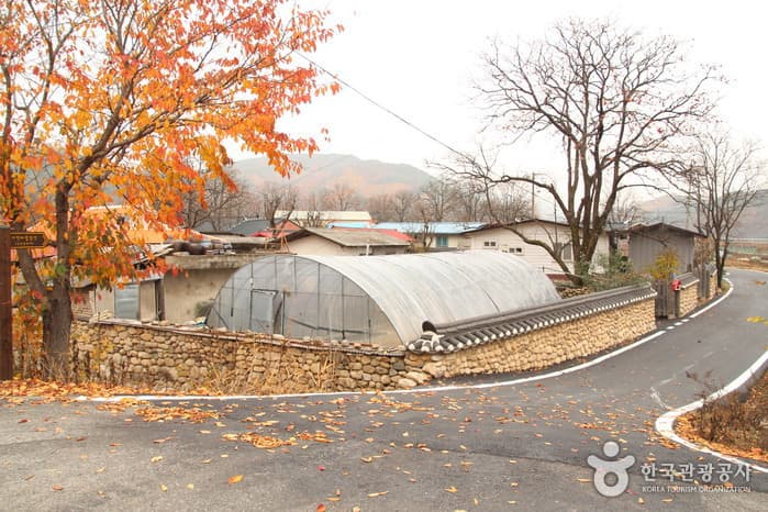 전북_무주 지전마을 옛 담장01