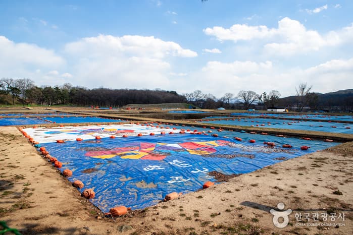 경주 월성(반월성)