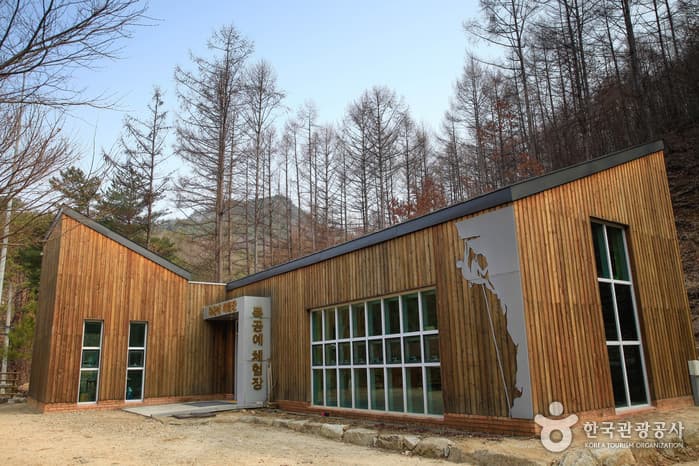 국립 용화산자연휴양림 2021 촬영 4