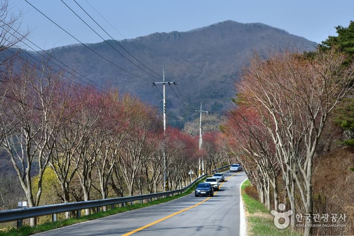 무등산국립공원_05