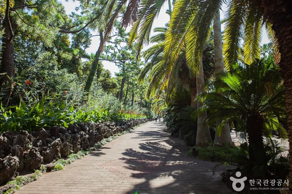 협재굴(한림공원) (8)