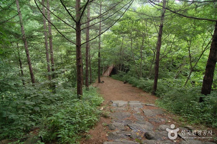 가리산자연휴양림_06