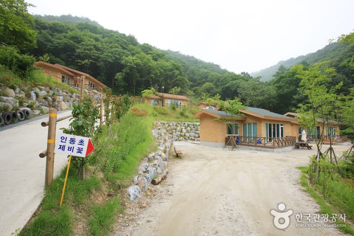 좌구산 자연휴양림 산림욕장_78