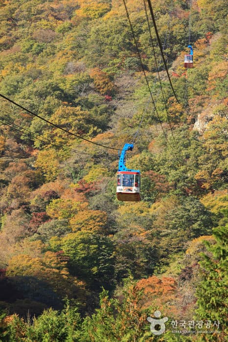 전라북도_정읍시_내장산 케이블카_007