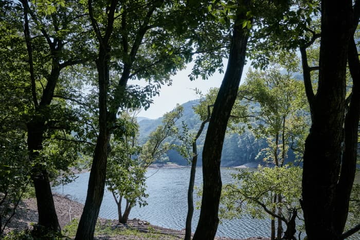 한국문화정보원_주산지 5