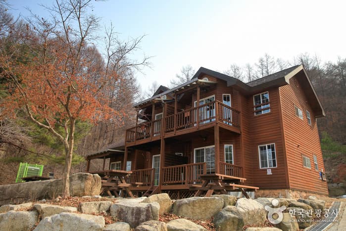 국립 용화산자연휴양림 2021 촬영 5