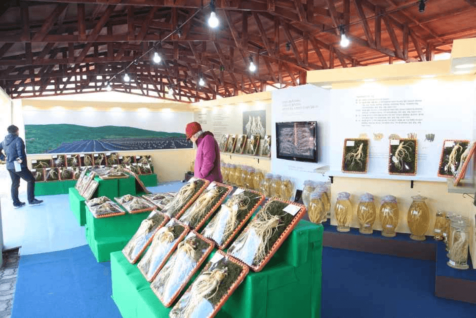 Icheon Ginseng Festival (이천인삼축제)
