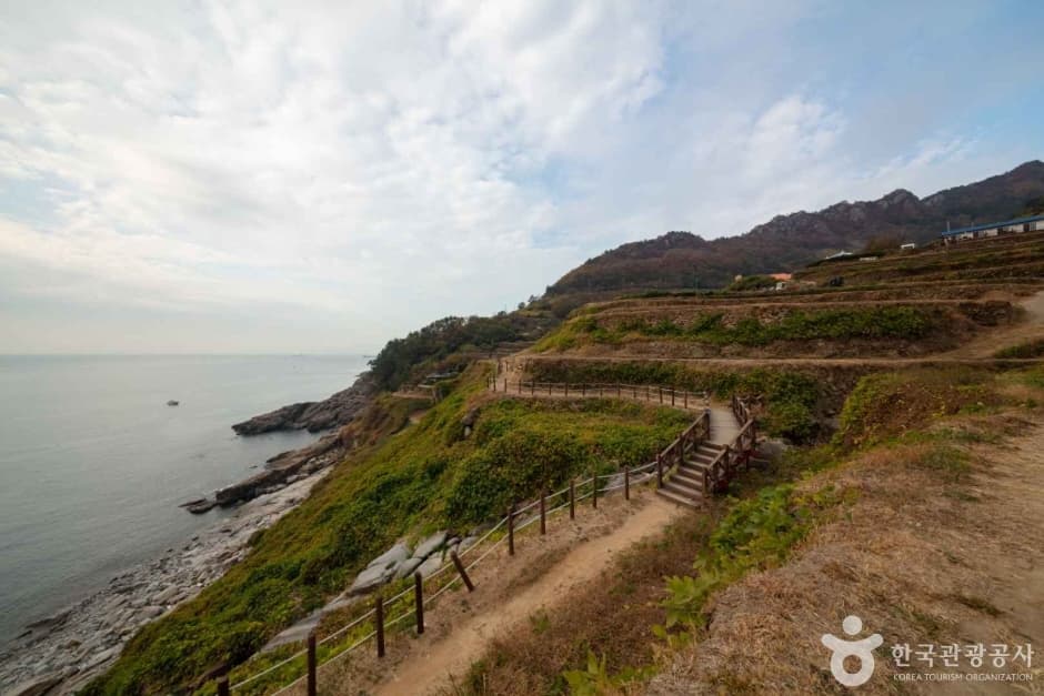 가천 다랭이마을 (9)