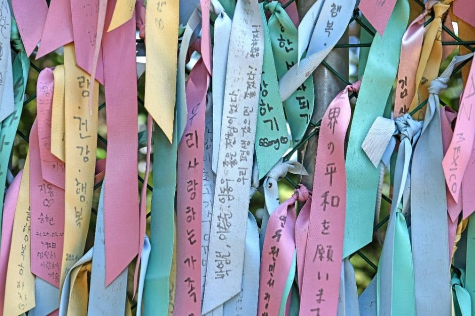 임진각평화곤돌라 (21)