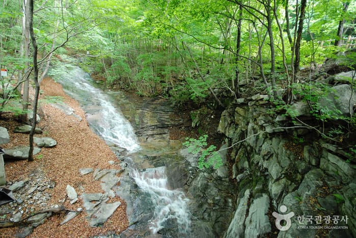 운문산자연휴양림_11