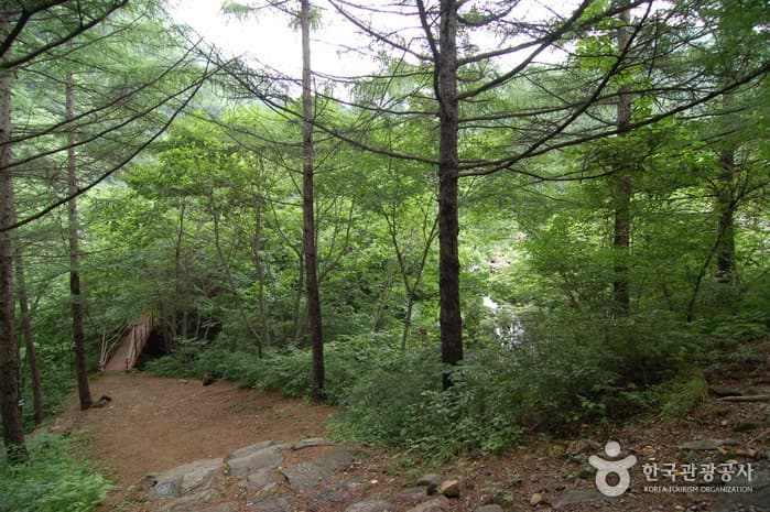 가리산자연휴양림_07