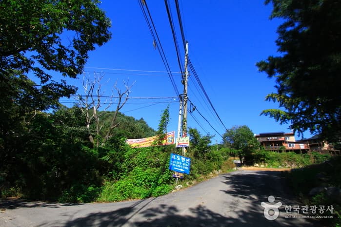 경기_남양주_축령산02