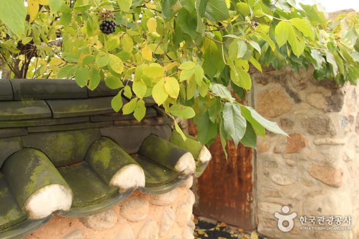 전북_무주 지전마을 옛 담장03