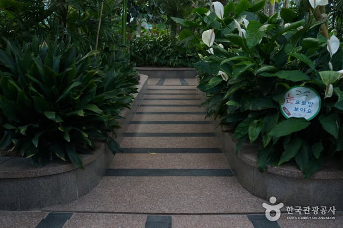 세종특별자치시_금강자연휴양림08