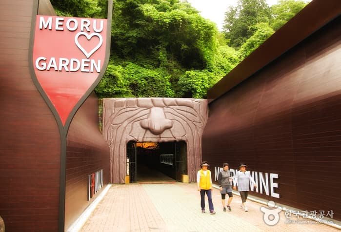 전북_무주_술이 익어가는 서늘한 동굴, 무주머루와인동굴_04