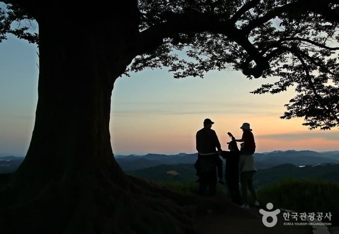 충남_부여_백제 시대로 한여름 밤의 꿈 같은 야경 여행, 부여 궁남지와 정림사지_13