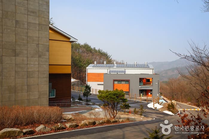 국립 용화산자연휴양림 2021 촬영 6