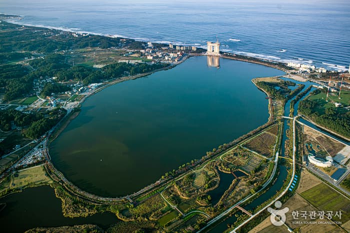 경포호(철새도래지)_01