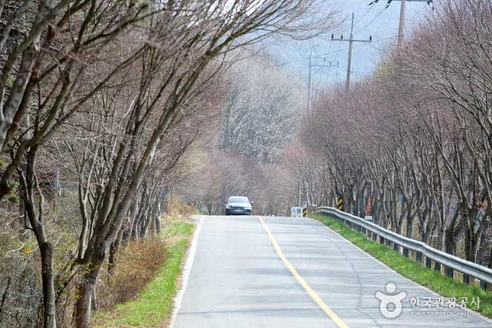 무등산국립공원_07