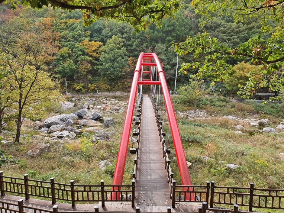 장령산자연휴양림_2