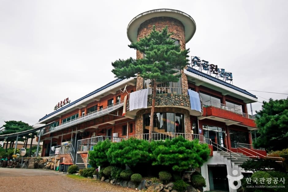 대전 숯골원냉면 (5)