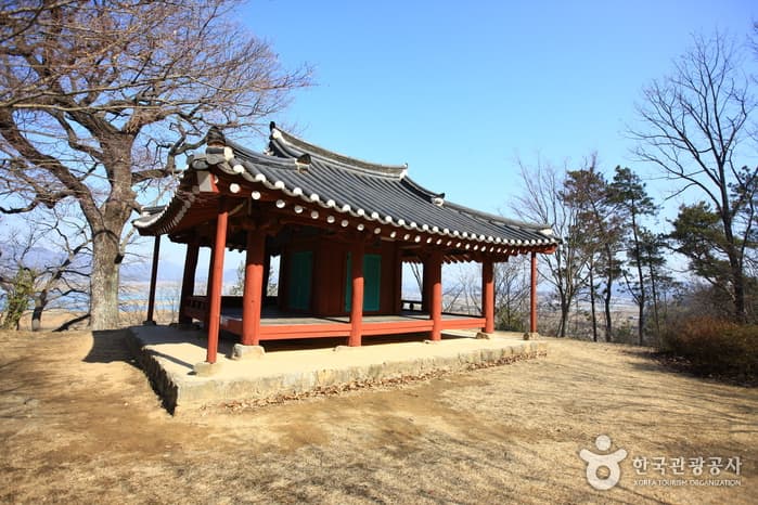 면앙정과 참나무_09